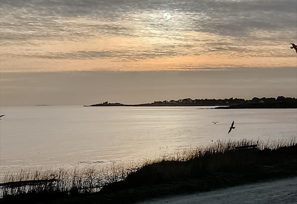 SMAIO renforce son Conseil scientifique nord-américain