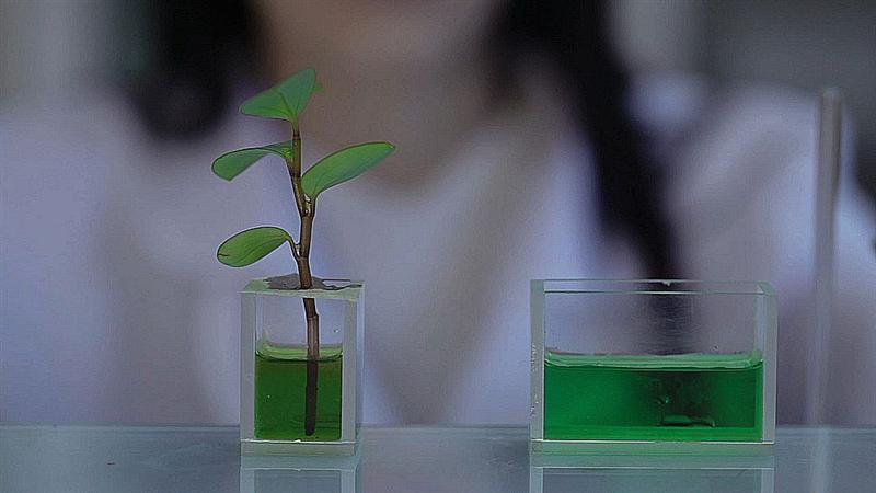 Valbiotis étend son service de livraison e-commerce à la Belgique et au Luxembourg