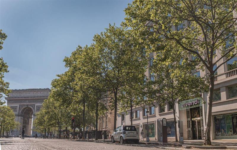 Vivendi : chute, vers une importante victoire judiciaire pour Bolloré