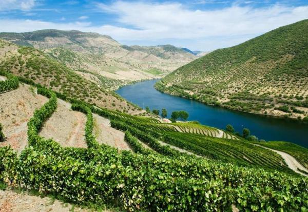 Vranken Pommery & Associés peine à finaliser son refinancement ; distribution du dividende compromise