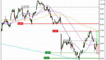Stellantis N.V. : Une reprise à anticiper (FG14V)